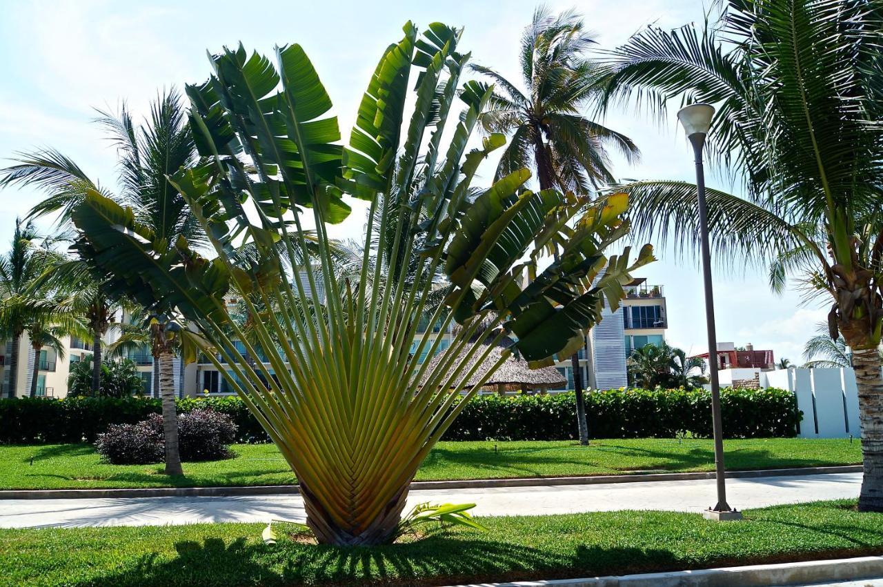 Penthouse Con Jacuzzi En Acapulco Diamante Appartement Buitenkant foto